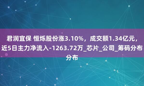 君润宜保 恒烁股份涨3.10%，成交额1.34亿元，近5日主力净流入-1263.72万_芯片_公司_筹码分布