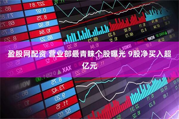 盈股网配资 营业部最青睐个股曝光 9股净买入超亿元