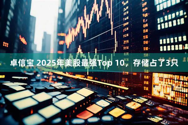 卓信宝 2025年美股最强Top 10，存储占了3只