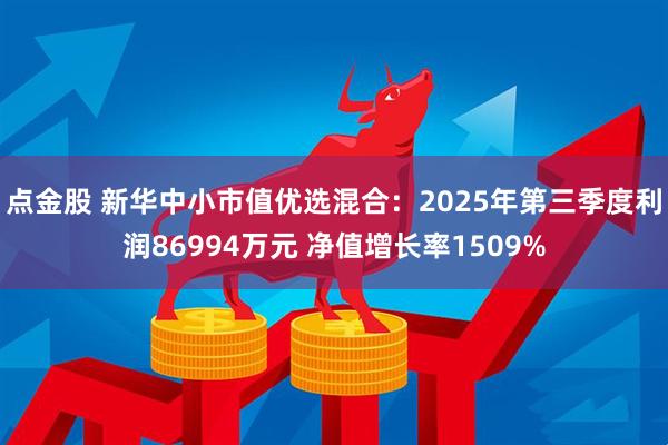 点金股 新华中小市值优选混合：2025年第三季度利润86994万元 净值增长率1509%